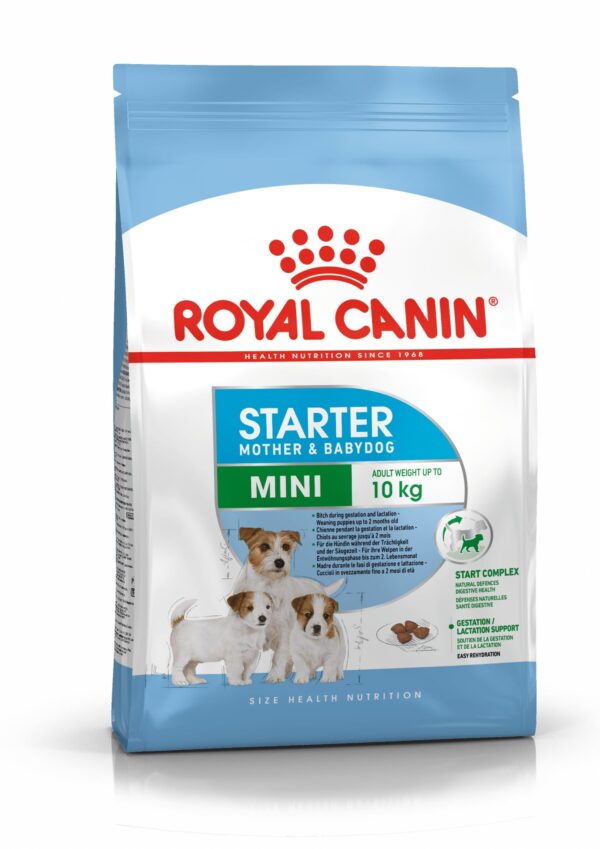 STARTER MOTHER & BABYDOG MINI