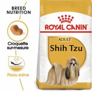 SHIH TZU ADULT