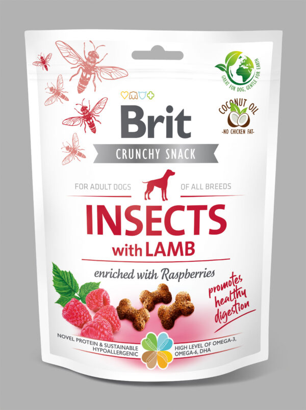 BRIT CARE SNACK INSECT LAMB