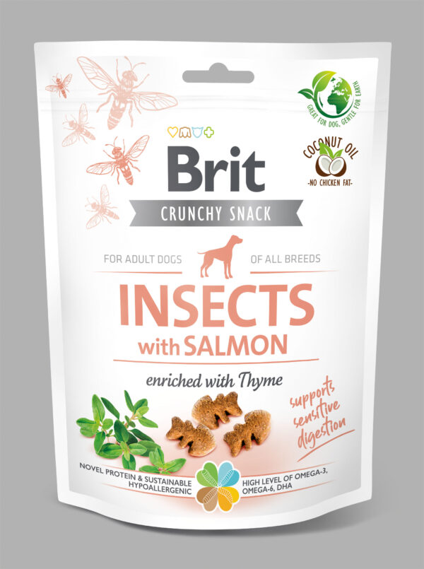 BRIT CARE SNACK INSECT  SAUMON